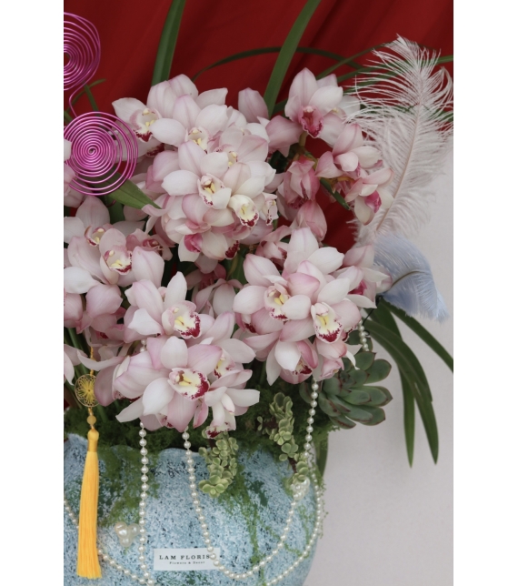 Địa Lan Cát Phúc Xuân 