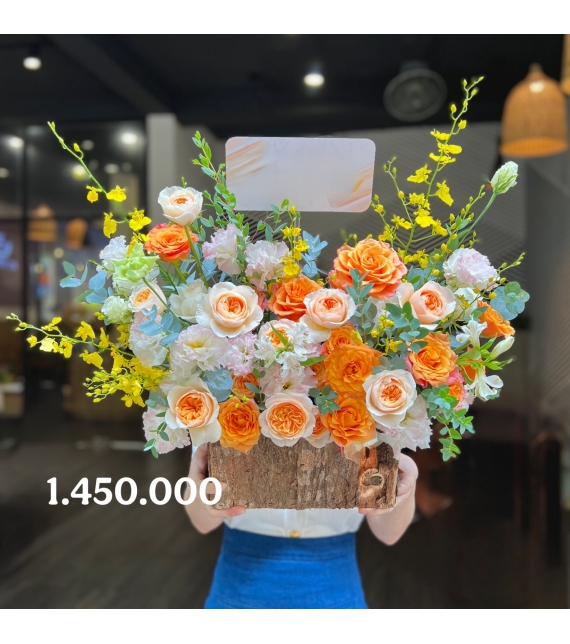 “Jubilee Mộc Cam – Nắng Sớm Trong Rừng”