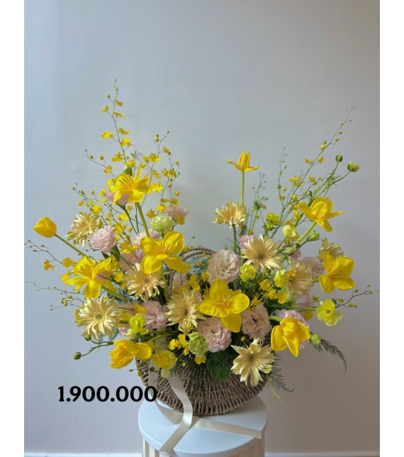 “Dịu Nhẹ Hoàng Kim – Soft Golden Bloom”