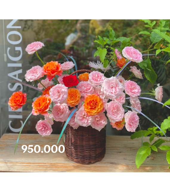 Sắc Cam Tinh Khôi