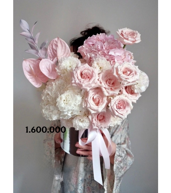 Pure Harmony Bloom – Giai Điệu Thanh Khiết