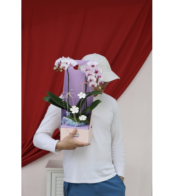 Lan Ngọc An Xuân Mini 