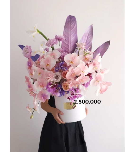 Mystic Orchid Symphony – Giao Hưởng Lan Tím Huyền Bí