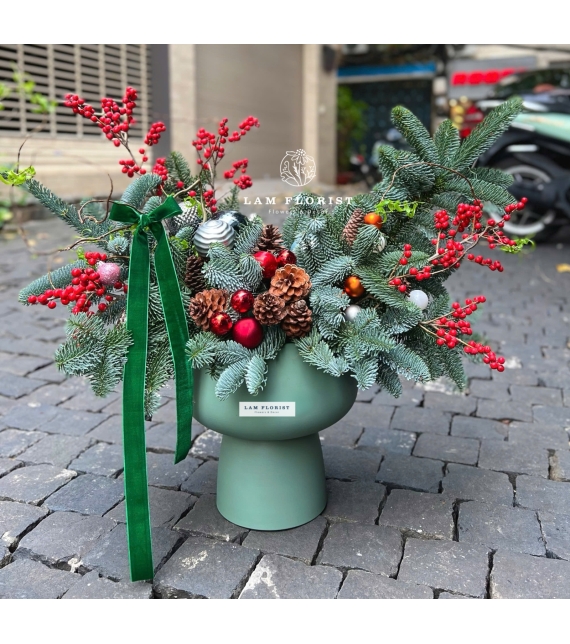 “Nordic Cheer” – Chậu Thông Hân Hoan Bắc Âu