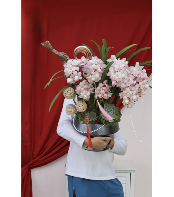 Địa Lan Phú Quý Xuân