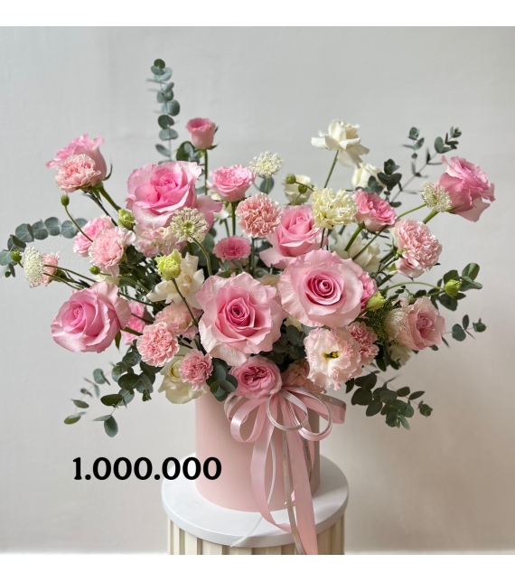  “Lạc Thần Thanh Nhã – Divine Blush Elegance”