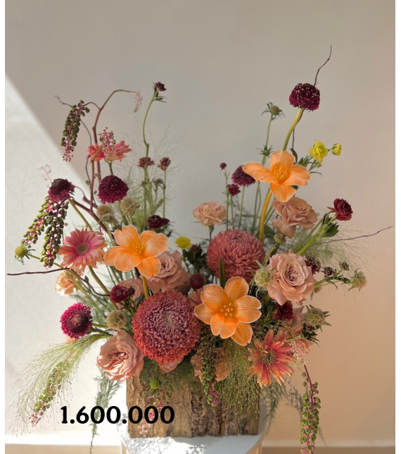 “Dấu Ấn Thanh Nhã – Elegant Harmony”