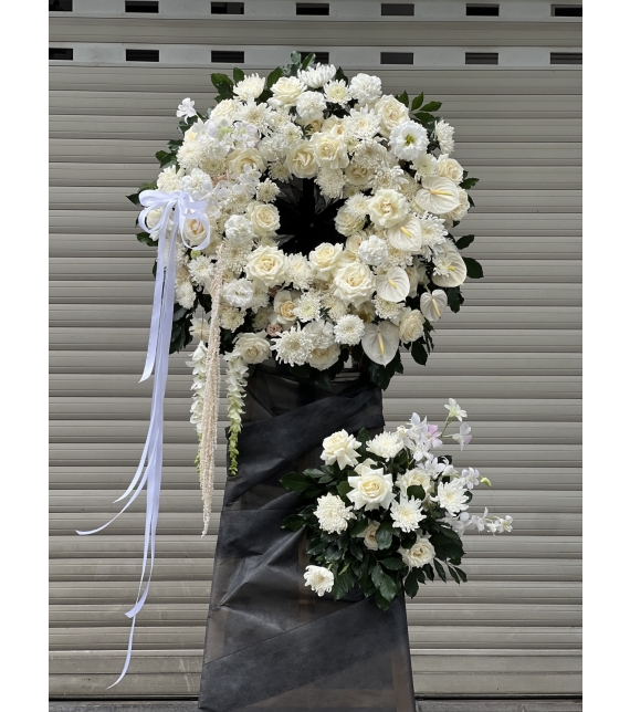 “Niềm Thương Kính – Sắc Trắng Vĩnh Hằng”