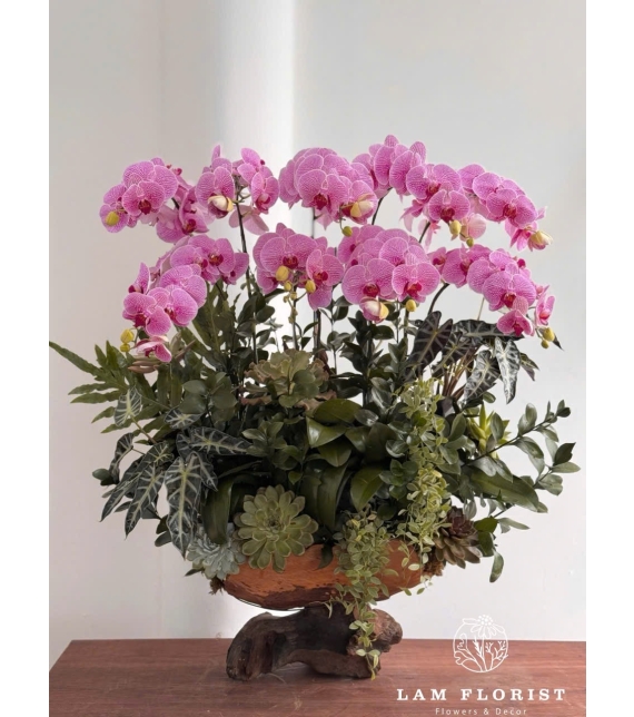 Lụa Lan Hồ Điệp 9 Cành Hồng Cao Cấp – Trang Trí Gỗ Lụa & Cây Xanh