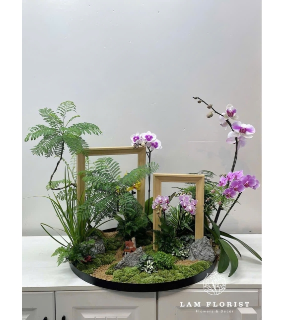 Khay Tiểu Cảnh Lan Hồ Điệp Tím Nhạt – Khung Cửa Sổ Nghệ Thuật