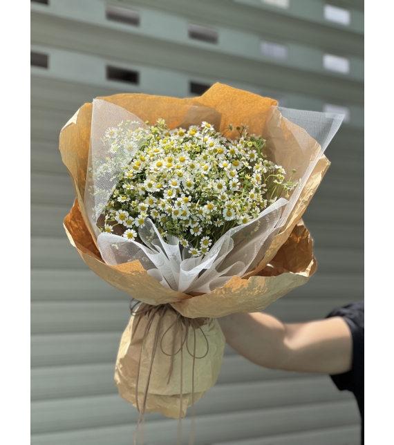 “Tana’s Whisper – Lời Thì Thầm Của Nắng”