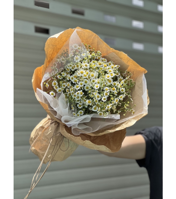 “Tana’s Whisper – Lời Thì Thầm Của Nắng”