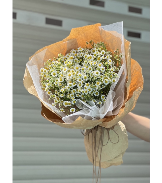 “Tana’s Whisper – Lời Thì Thầm Của Nắng”