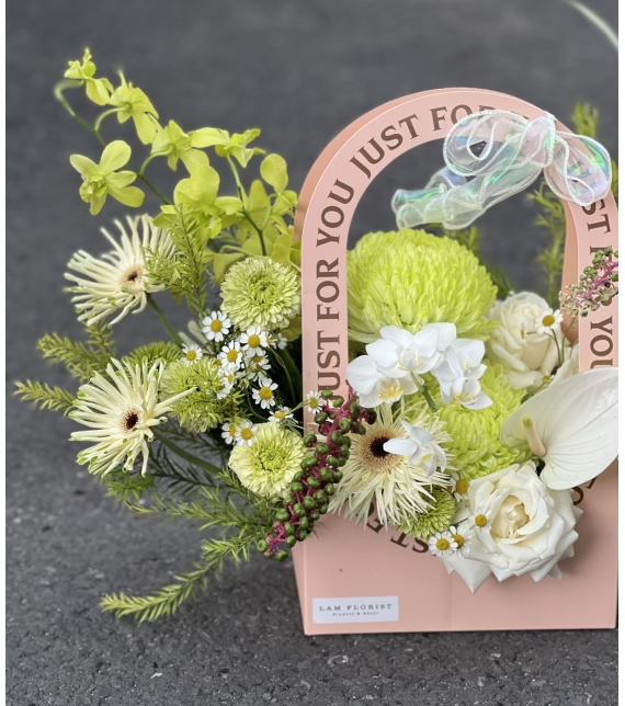 “Whisper of Spring – Lời Thì Thầm Mùa Xuân”