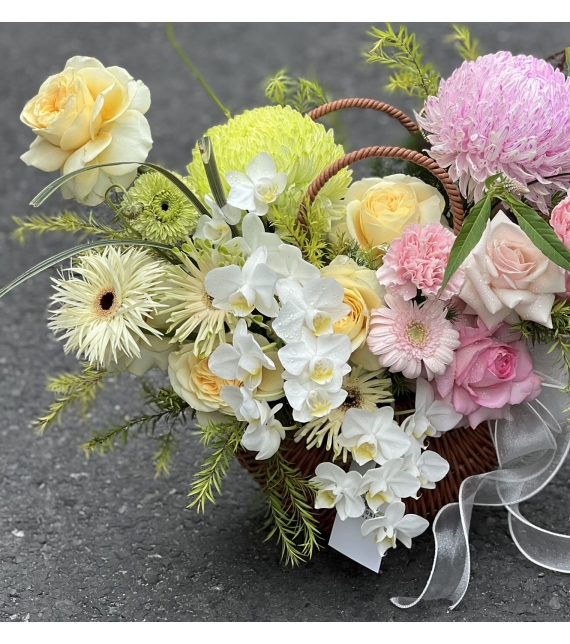 Nắng Nhẹ Ngày Mới – Morning Glow Basket ☀️