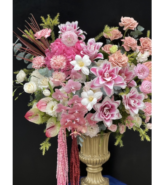 Dáng Hồng Thanh Xuân - “The Blush Symphony”