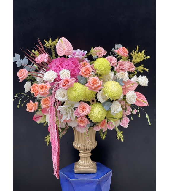 Vũ Khúc Sắc Hoa - “The Bloom Sonata”