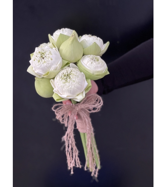 TINH LIÊN - HOA CÔ DÂU ĐẶC BIỆT