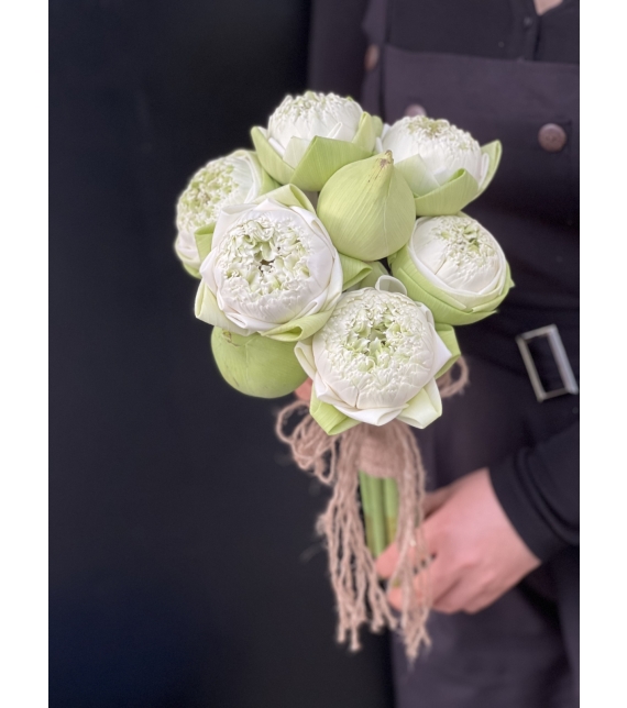 TINH LIÊN - HOA CÔ DÂU ĐẶC BIỆT