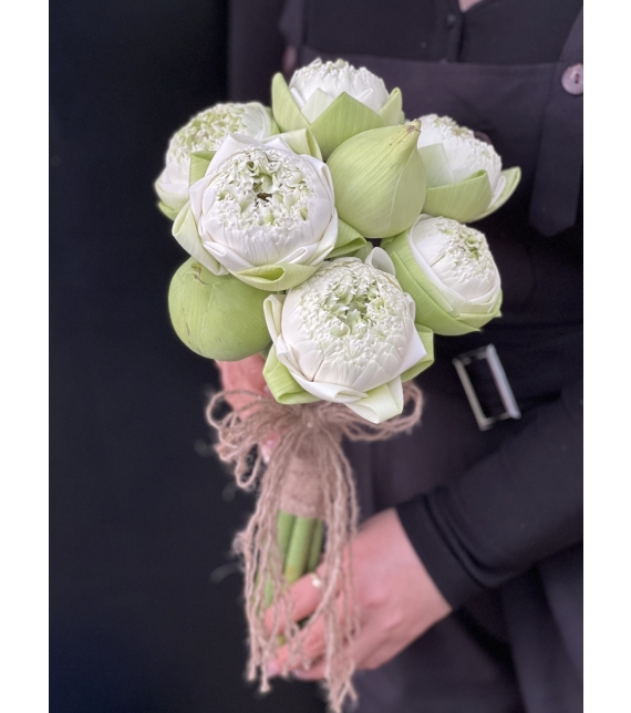 TINH LIÊN - HOA CÔ DÂU ĐẶC BIỆT