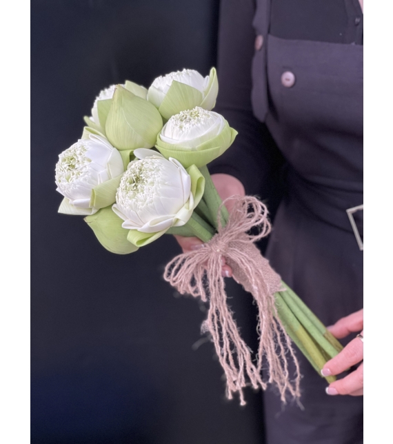 TINH LIÊN - HOA CÔ DÂU ĐẶC BIỆT