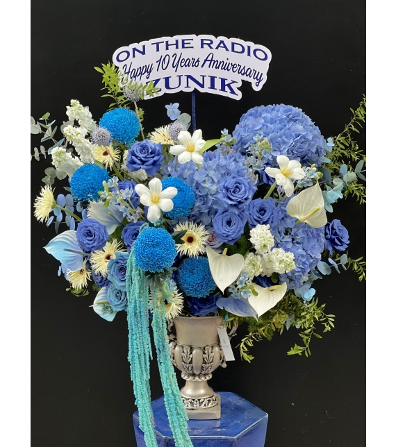 Blue Symphony – Giai điệu xanh của yêu thương