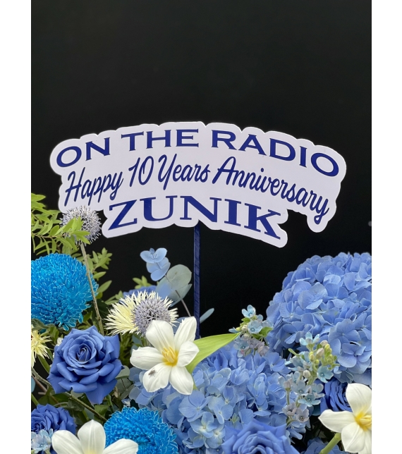 Blue Symphony – Giai điệu xanh của yêu thương