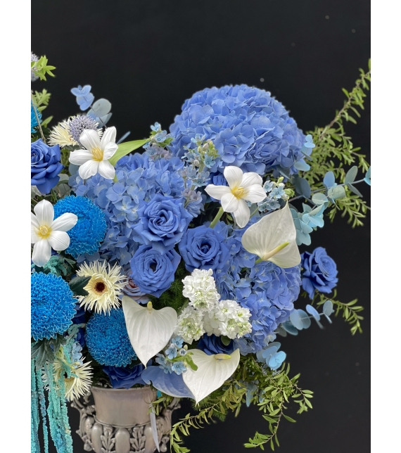 Blue Symphony – Giai điệu xanh của yêu thương