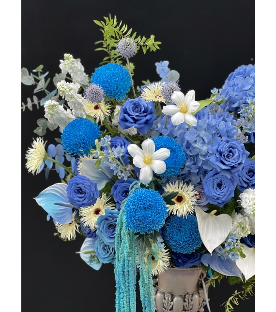 Blue Symphony – Giai điệu xanh của yêu thương