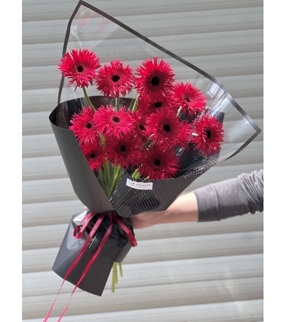 Rực rỡ mỗi ngày- Đồng Tiền Đỏ