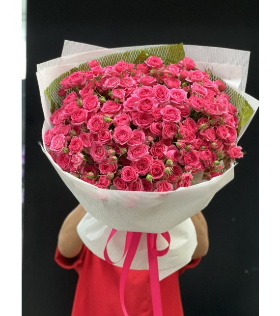 “Sofia Rực Rỡ – Lời Yêu Thương Ngọt Ngào”