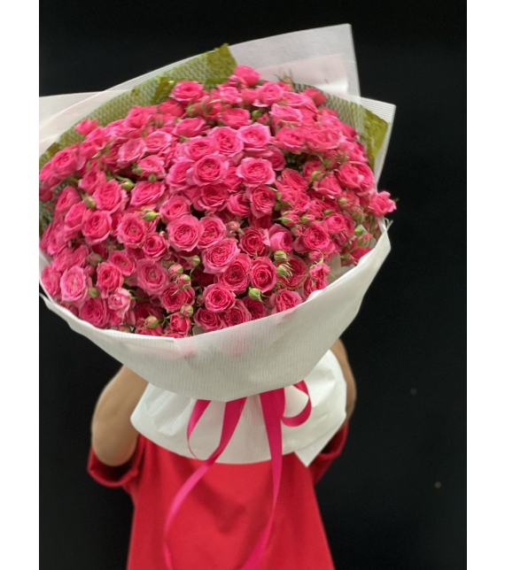 “Sofia Rực Rỡ – Lời Yêu Thương Ngọt Ngào”