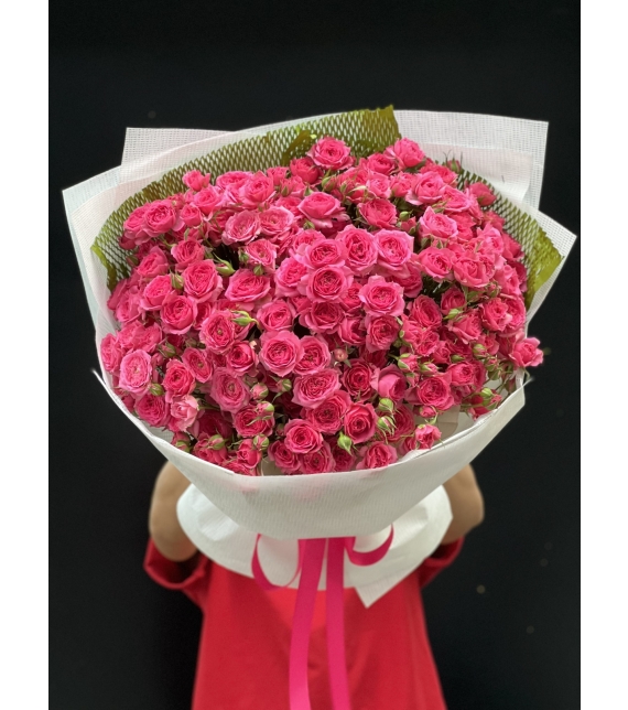 “Sofia Rực Rỡ – Lời Yêu Thương Ngọt Ngào”