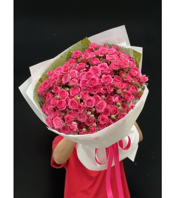 “Sofia Rực Rỡ – Lời Yêu Thương Ngọt Ngào”