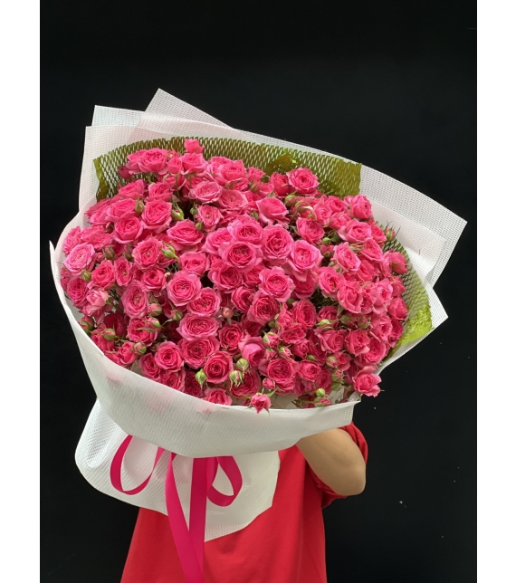 “Sofia Rực Rỡ – Lời Yêu Thương Ngọt Ngào”