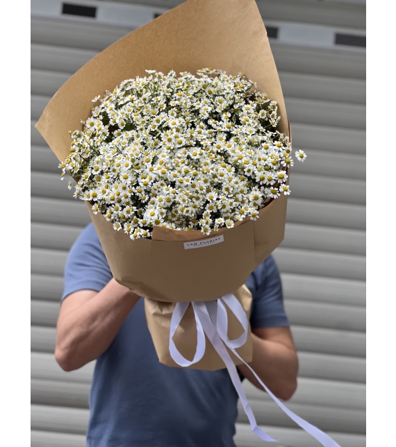 “Tana Melody – Giai Điệu Của Nắng”