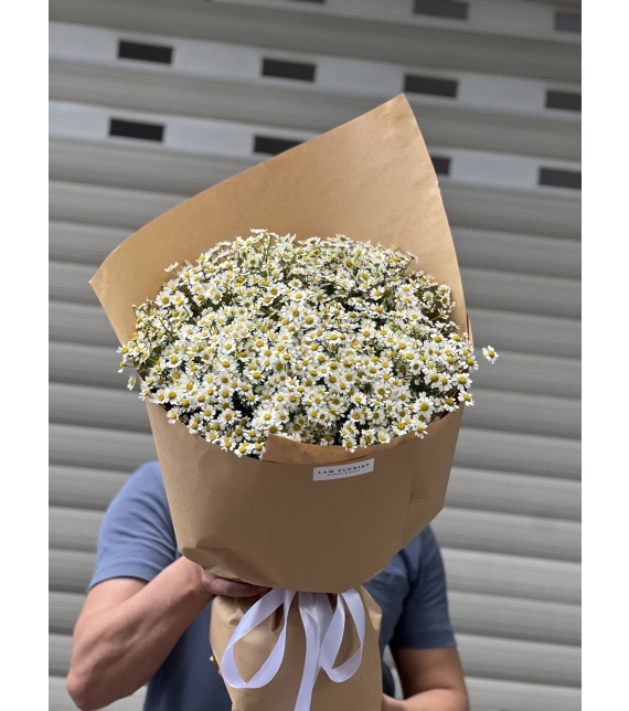 “Tana Melody – Giai Điệu Của Nắng”