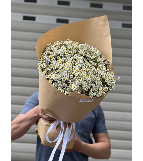 “Tana Melody – Giai Điệu Của Nắng”