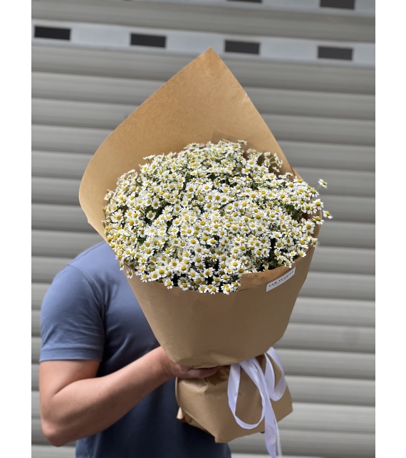 “Tana Melody – Giai Điệu Của Nắng”