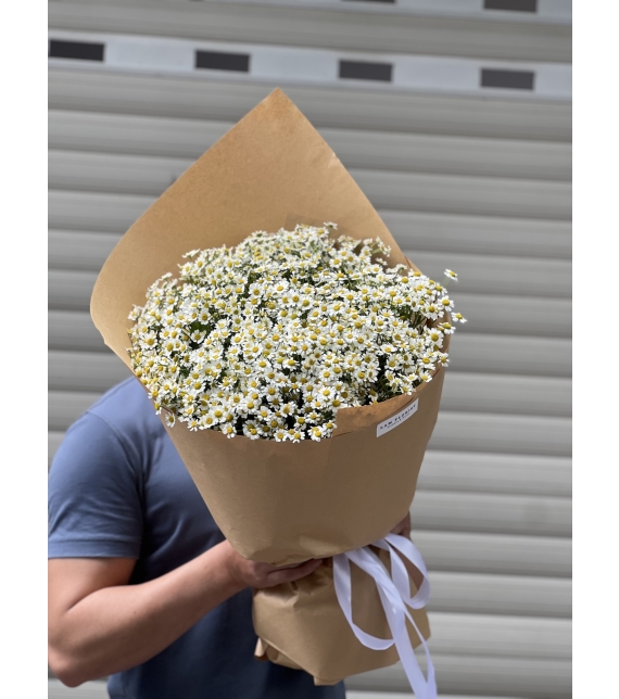 “Tana Melody – Giai Điệu Của Nắng”