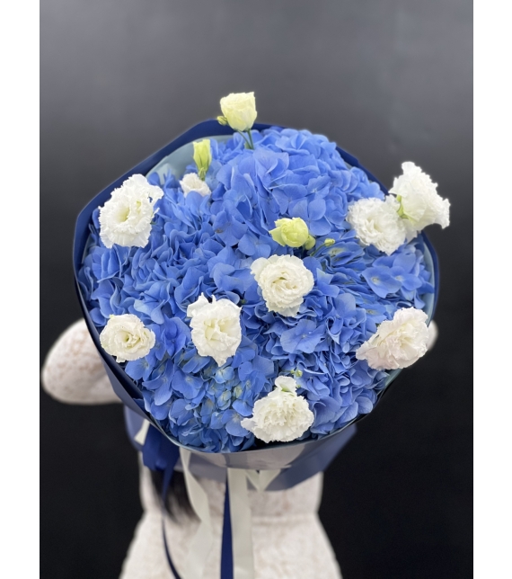 “Blue Dream – Giấc Mơ Xanh”