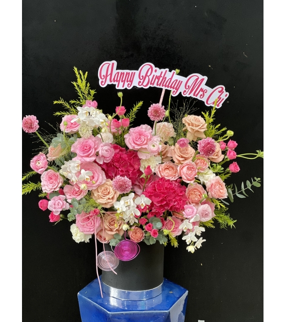 “Sắc Hồng Thanh Khiết”