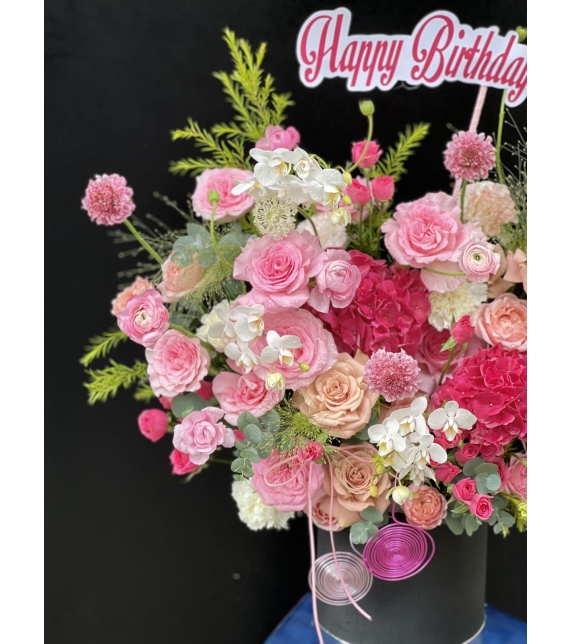 “Sắc Hồng Thanh Khiết”