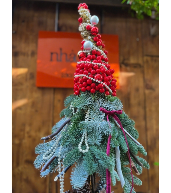  “Santa’s Hat” – Cây Thông Nón Giáng Sinh Đan Mạch