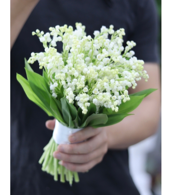 Snowbell Elegance – Thanh Khiết Chuông Tuyết