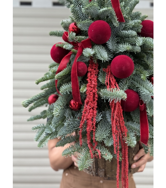  “Crimson Noel” – Cây Thông Giáng Sinh Đan Mạch