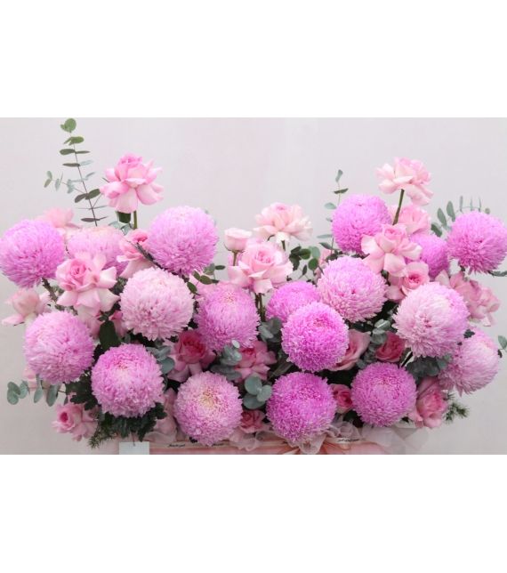 Blush Peony Elegance – Vẻ Đẹp Mẫu Đơn Phấn Hồng