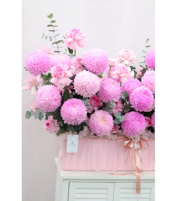 Blush Peony Elegance – Vẻ Đẹp Mẫu Đơn Phấn Hồng