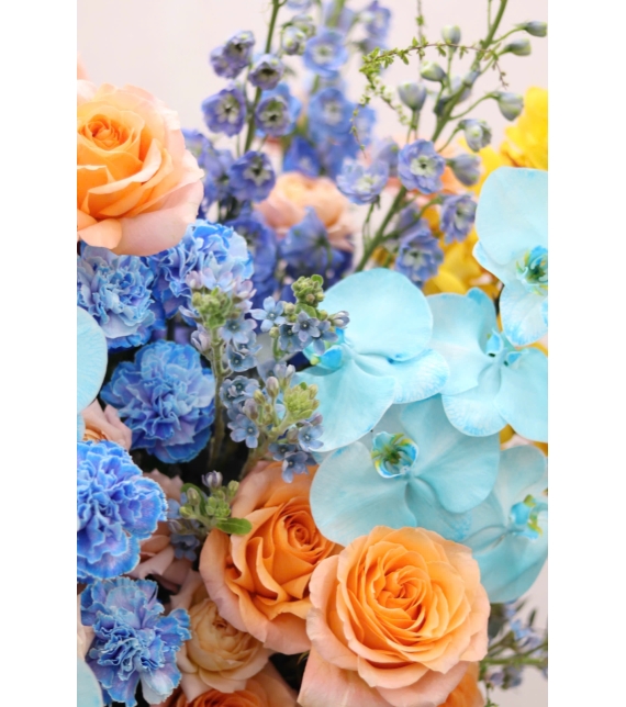 “Lumière de Printemps – Ánh Sáng Mùa Xuân”