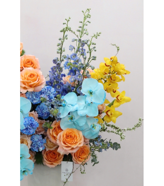 “Lumière de Printemps – Ánh Sáng Mùa Xuân”